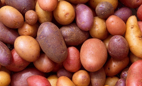 Новини міста за 30 вересня-6 жовтня: про портрети Острозького, картоплю, пальне та бюджетні кошти