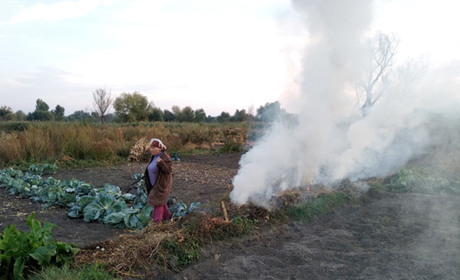 У Золотоноші палії знову завдають клопоту містянам