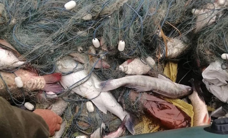 Браконьеров поймали на горячем - на ловле рыбы с нарушением пограничного режима