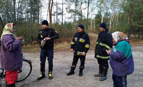 Пішли по журавлину і заблукали - дві сарненки провели ніч у лісі 