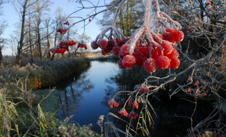 Погода в Торецьку цього тижня: синоптики попереджають про заморозки 