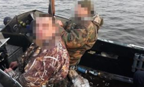 Під Переяславом браконьєри застрелили лебедя