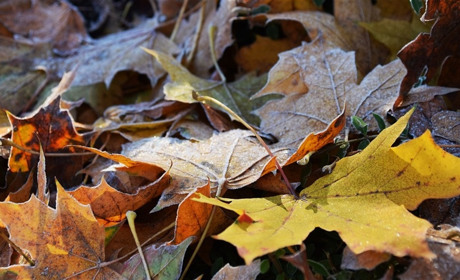 Погода у Старокостянтинові з 7 по 13 жовтня: очікуються перші заморозки