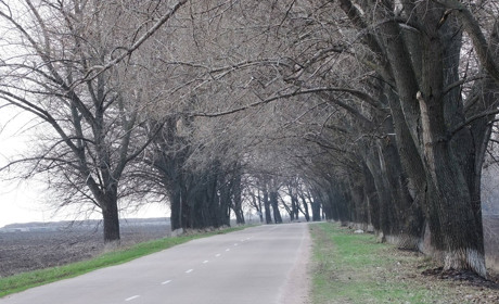 Голосуйте: Білоцерківський чи Обухівський район - де краще буде жителям Кагарличчини