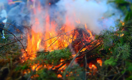 Екологи попереджують: спалювати листя заборонено