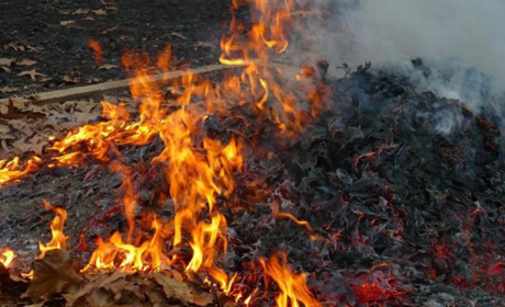 Попаснян закликають не спалювати листя та нагадують, що це заборонено законодавством