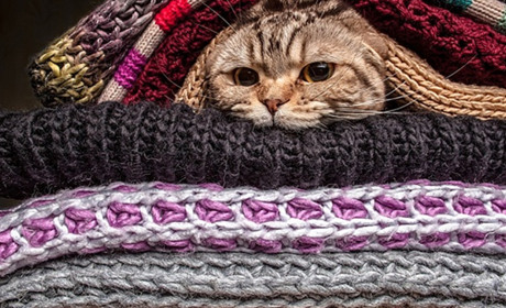 Коли почнеться опалювальний сезон у Білопіллі?