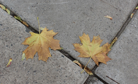 Огляд соцмереж: якими фото ділилися на тижні троїчани