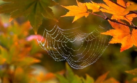 Тумани та тепло: синоптики дали тижневий прогноз погоди у Торецьку цього тижня