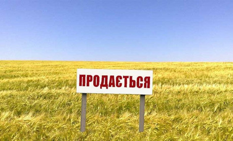 10 законопроєктів про обіг землі: Костюк анонсував засідання аграрного комітету