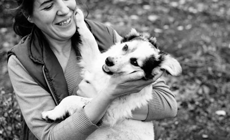  Хто та як опікується безпритульними тваринами у Добропіллі