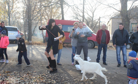Кролів, баранів та качок можна було виграти під час розіграшу "живої" лотереї  