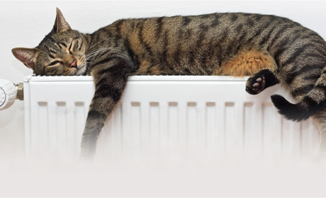 Отопительный сезон 2019-2020: когда включат отопление в Торецке