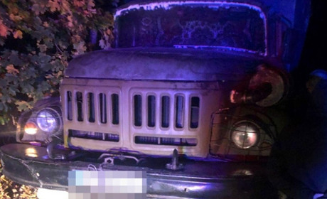 На Переяславщині виявили вантажівку з незаконно зрізаними дубами