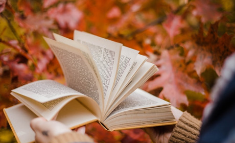 «Книжковий Миколай»: фестиваль вчетверте відбудеться в Херсоні