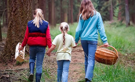 Як уникнути отруєння грибами: прості поради, які врятують життя