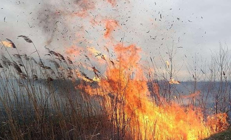 На Білопільщині продовжує горіти суха трава