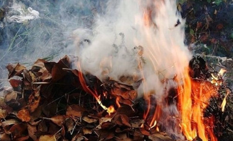 Страх і ненависть у Гадячі