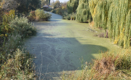 Онлайн-опитування: яка проблема у Переяславі найнагальніша?