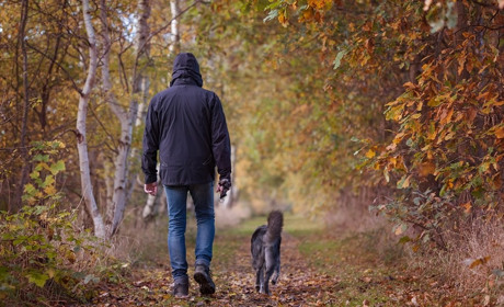 Куди піти у Старокостянтинові і Хмельницькому з 24 по 31 жовтня. Найближчі події тижня