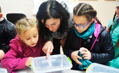 У Гадяч приїхали павуки