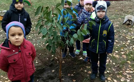  Малюки з прифронтового Новгородського долучилися до всеукраїнської акції "Посади дерево миру"