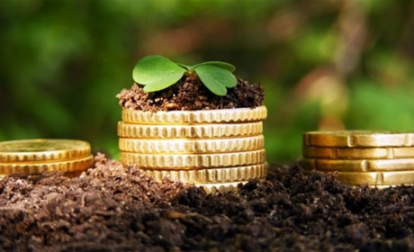 Хочете продати свій пай або землю? Перевірте спершу, чи є ваша земельна ділянка в електронній базі!