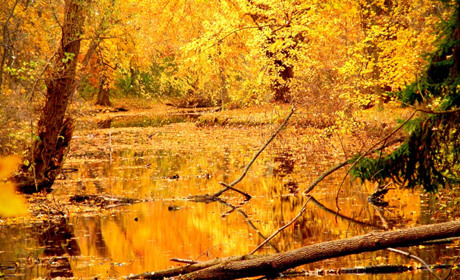 У Кагарлику і районі на наступний тиждень прогнозують похолодання, а у суботу та неділю - дощі
