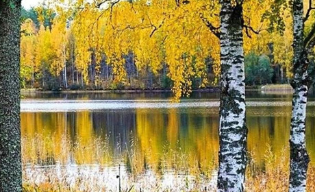 Чи буде наступний тиждень таким же теплим: народний календар та прогноз читайте тут