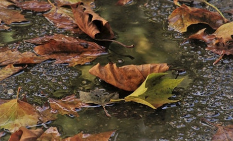  Дощі і нічні морози: синоптики розповіли, якою буде погода цього тижня у Торецьку
