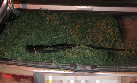 В Измаильском районе задержали мужчину с ружьем 