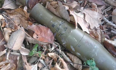 Неподалік від Сватового знайшли гранату та снаряд: Про знахідки у поліцію повідомили грибники