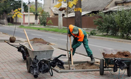 Озеленение в Измаиле продолжается