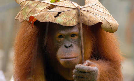 Якої погоди очікувати нам на початку листопада?