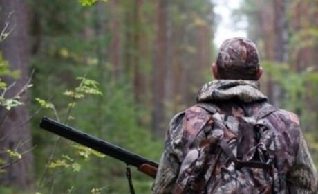 Сезон полювання відкрито: коли можна полювати на Гадяччині