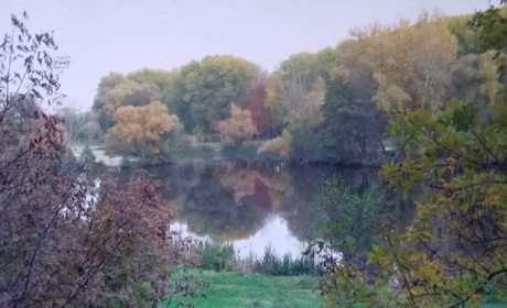 З понеділка не забувайте вдома парасольки. Які ще сюрпризи несе погода: читайте тут