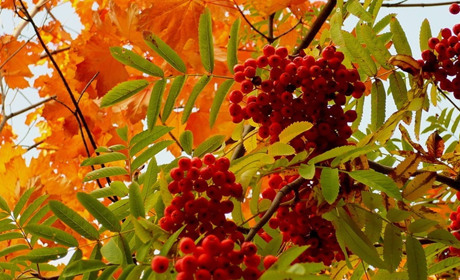 Бабине літо затрималося ще на тиждень: синоптики уточнили прогноз погоди цього тижня у Торецьку