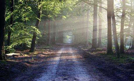 Сезон полювання відкрили