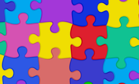 Складіть пазли і побачите чарівного жителя Старокостянтинова