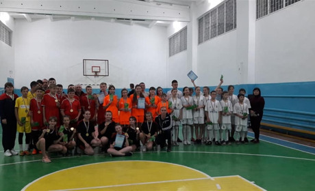 В Троїцькому змагалися 15 команд в піонербол