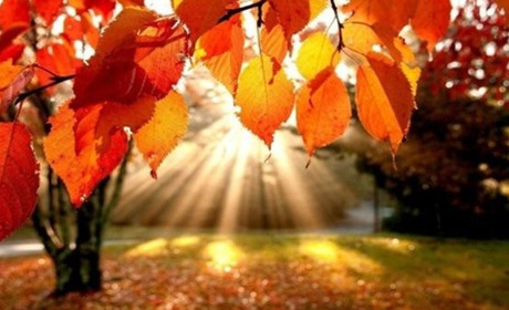 Теплі речі та зонти поки можна сховати в шафи: синоптики дали прогноз погоди цього тижня у Торецьку