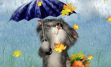 Якої погоди очікувати у найближчі дні на Білопільщині?