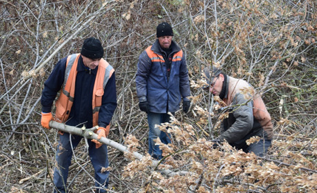 Троїцькі дорожники прочищають від порослі узбіччя основної траси