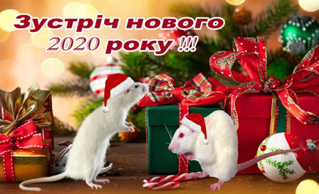 Як зустрічати гадячанам Новий 2020 рік Щура