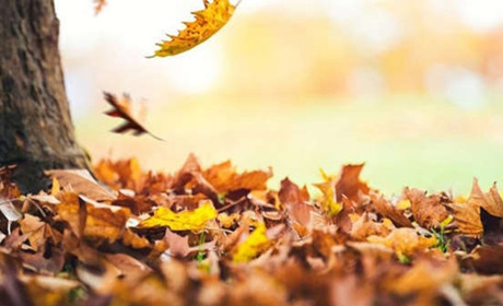 Куди піти у Старокостянтинові і Хмельницькому з 14 по 21 листопада. Найближчі події тижня