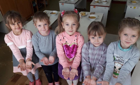 Харчування в дитсадках Нижніх Сірогоз: чому його вартість в молодшій та старшій групах різна