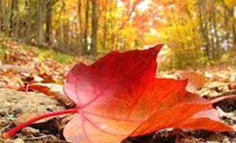 На Херсон насувається осінь