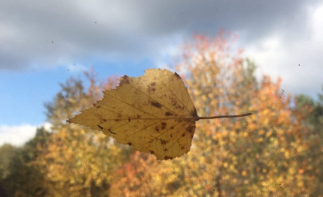 У Кагарлицькому районі на вихідні прогнозують незначне потепління