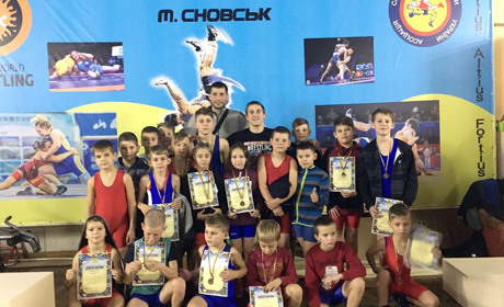 Чудовий результат: зі Сновська з десятком медалей