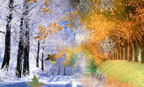 Чекаємо морозів: ви вже приготувались до них? 